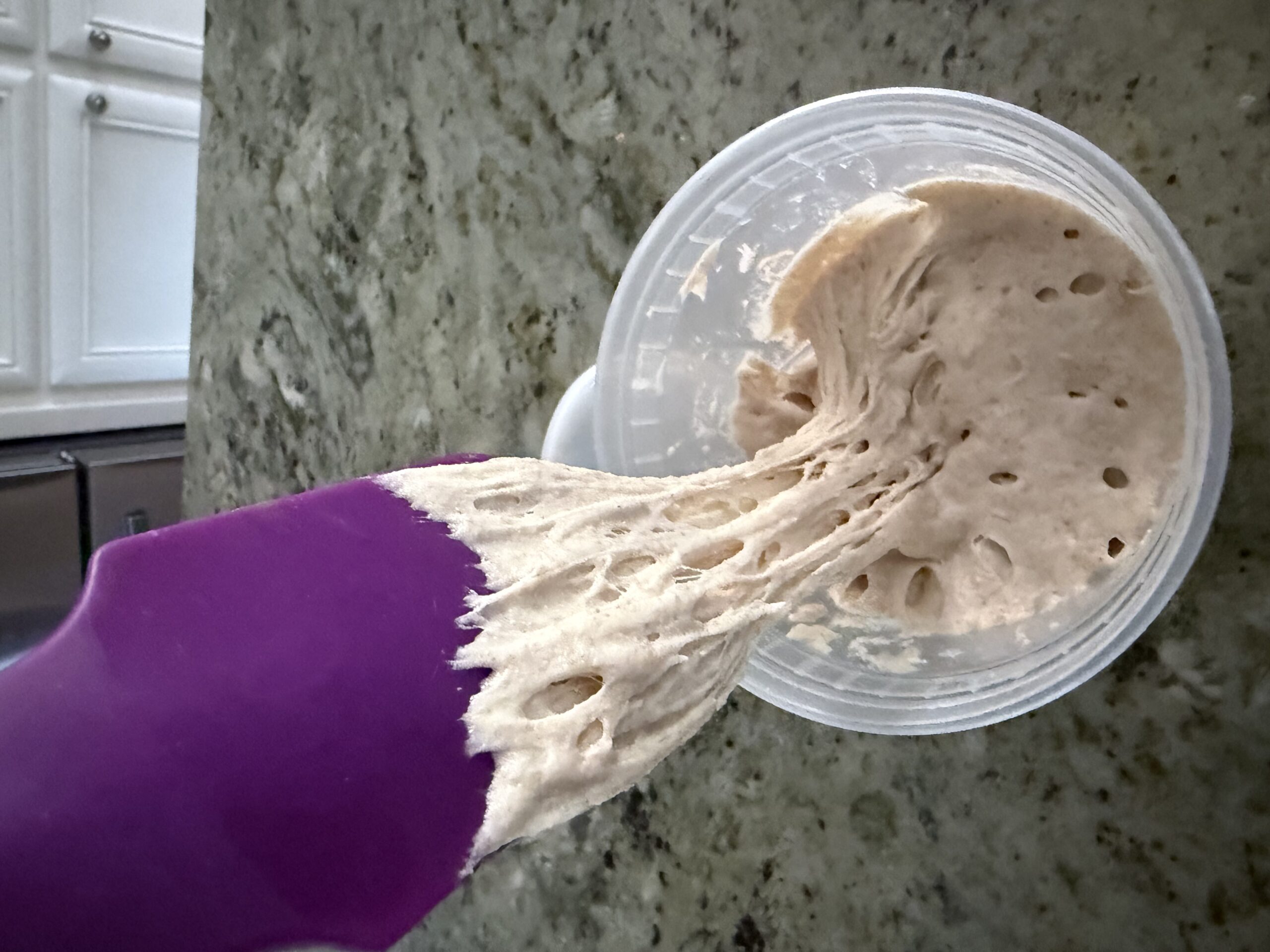 Active poolish being stretched with a spatula, showing an airy bubbly texture